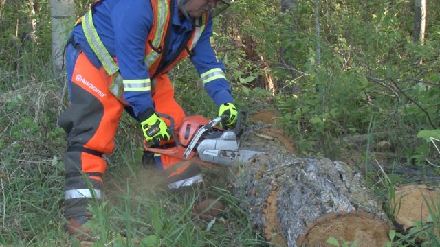 chainsaw safety training osha